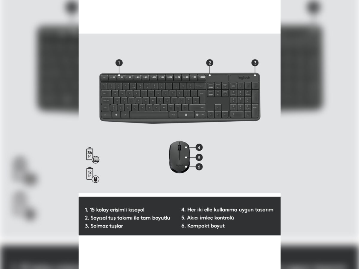 Logitech MK235 920-007925 Kablosuz Klavye Mouse Seti - Görsel 2