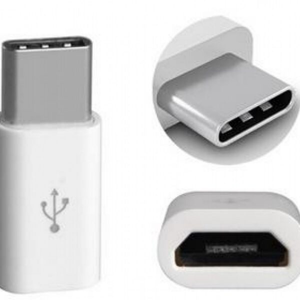 Alfais 4696 Type-C to Micro USB Dönüştürücü